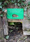 Hedgehog highway